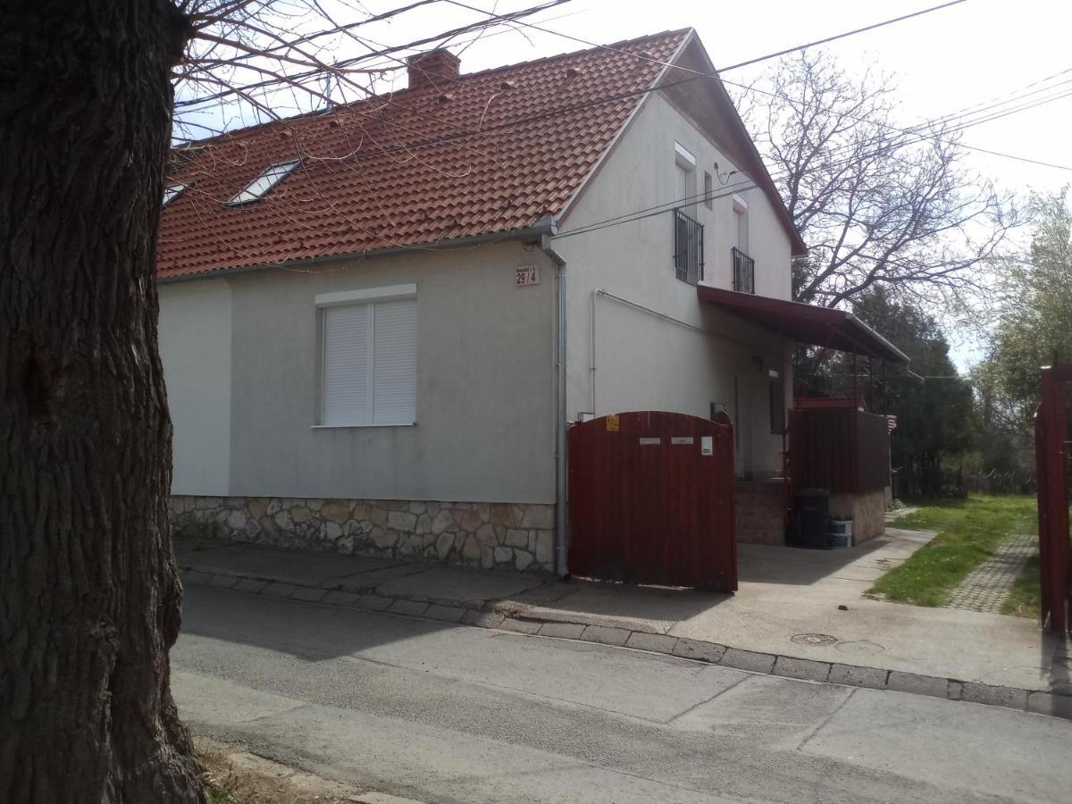 Budai Vam Apartmanhaz ペーチ エクステリア 写真